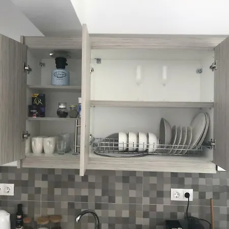 Sofia's *